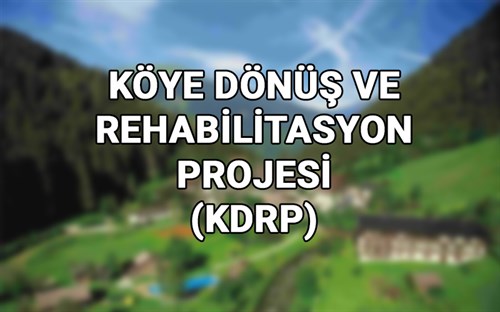 Köye Dönüş Ve Rehabilitasyon Projesi (KDRP)