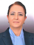 Tülay BAYDAR BİLGİHAN