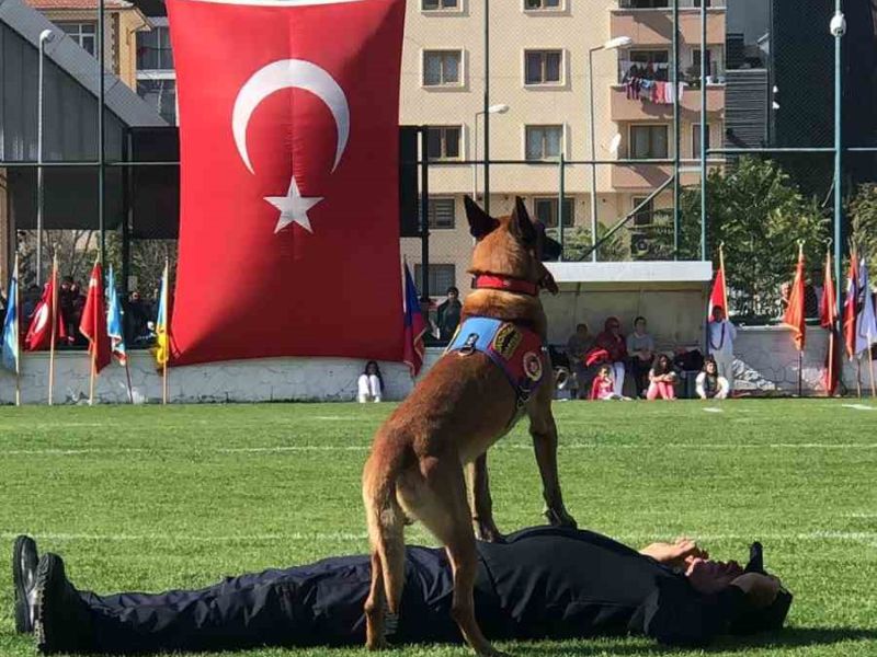 Jandarma Köpeği Nefes Becerileriyle İzleyenlerden Tam Not Aldı