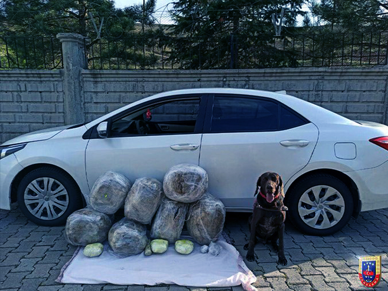 Elazığ İl Jandarma Komutanlığınca Yapılan Aramada 62 Kg Esrar Ele Geçirildi