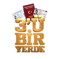 3'ü Bir Yerde Projesi